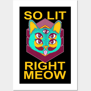 Trippy So Lit Right Meow Party Rave Cat Posters and Art